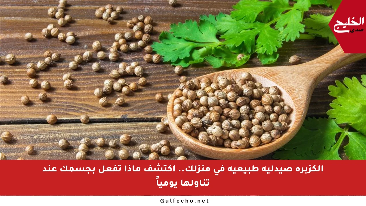 الكزبرة صيدلية طبيعية في منزلك.. اكتشف ماذا تفعل بجسمك عند تناولها يومياً